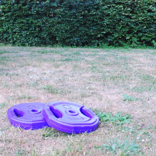 Køb billig Bodypump 10 kg vægtskive - NORDIC POWER - Maxis.dk