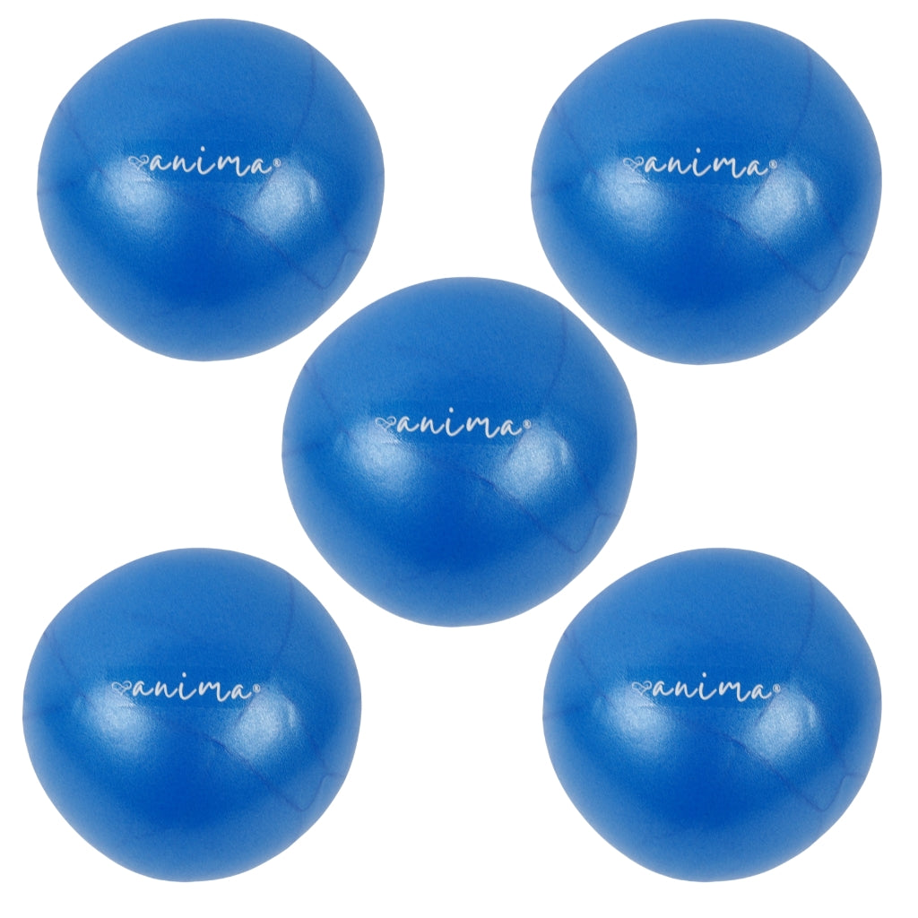 5 st. Pilatesbollar Blå, 25 cm - ANIMA