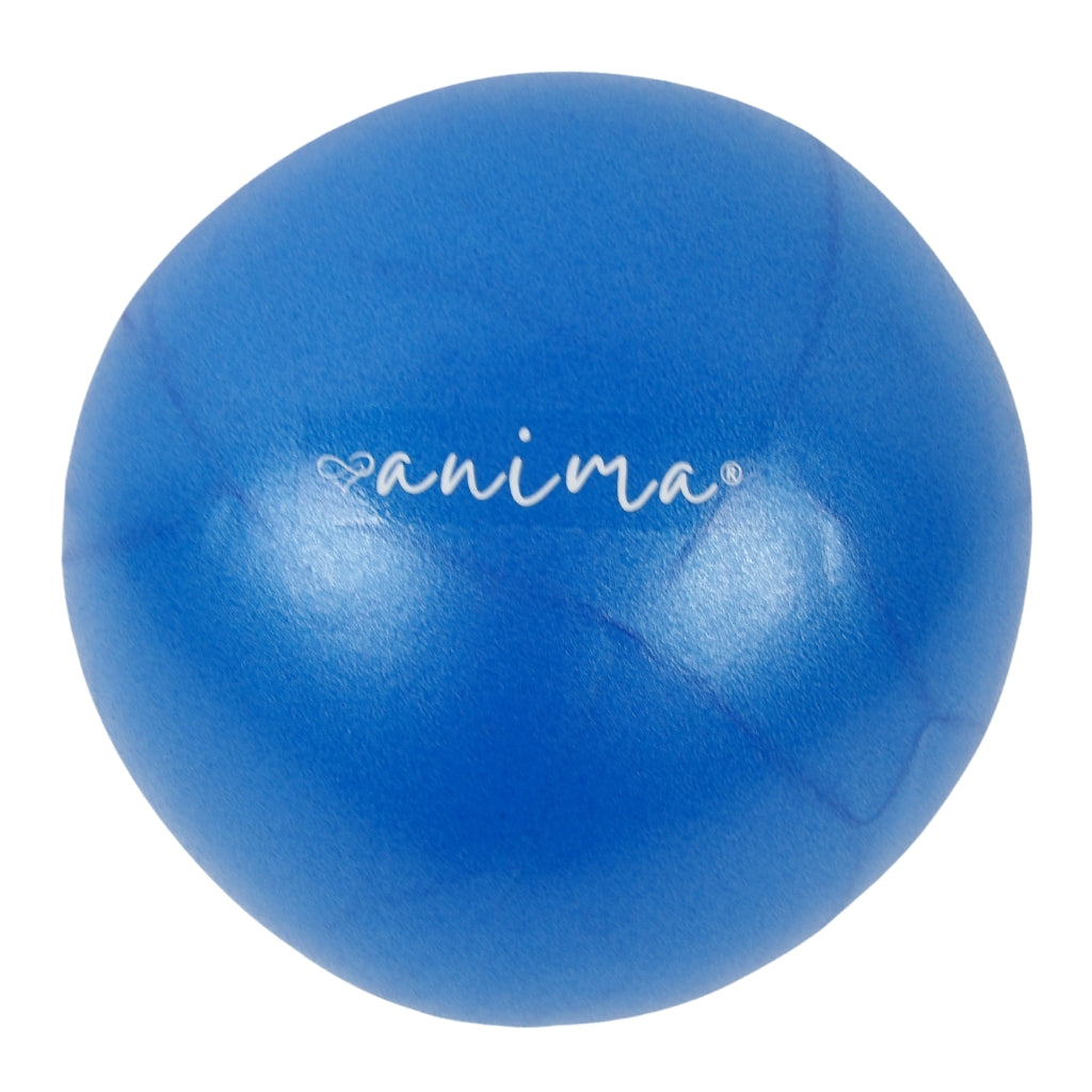 5 st. Pilatesbollar Blå, 25 cm - ANIMA