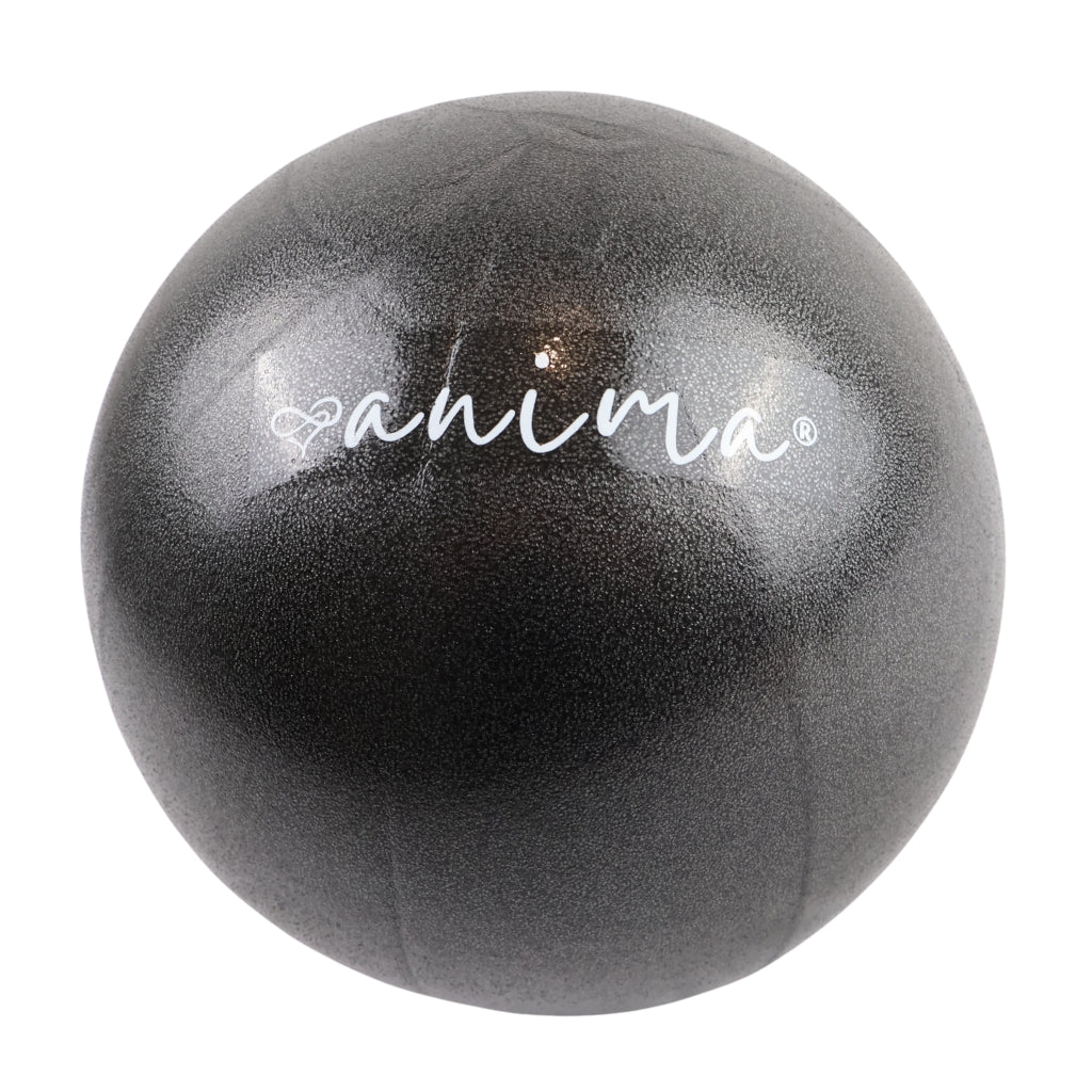 5 st. Pilatesbollar Blå, 25 cm - ANIMA