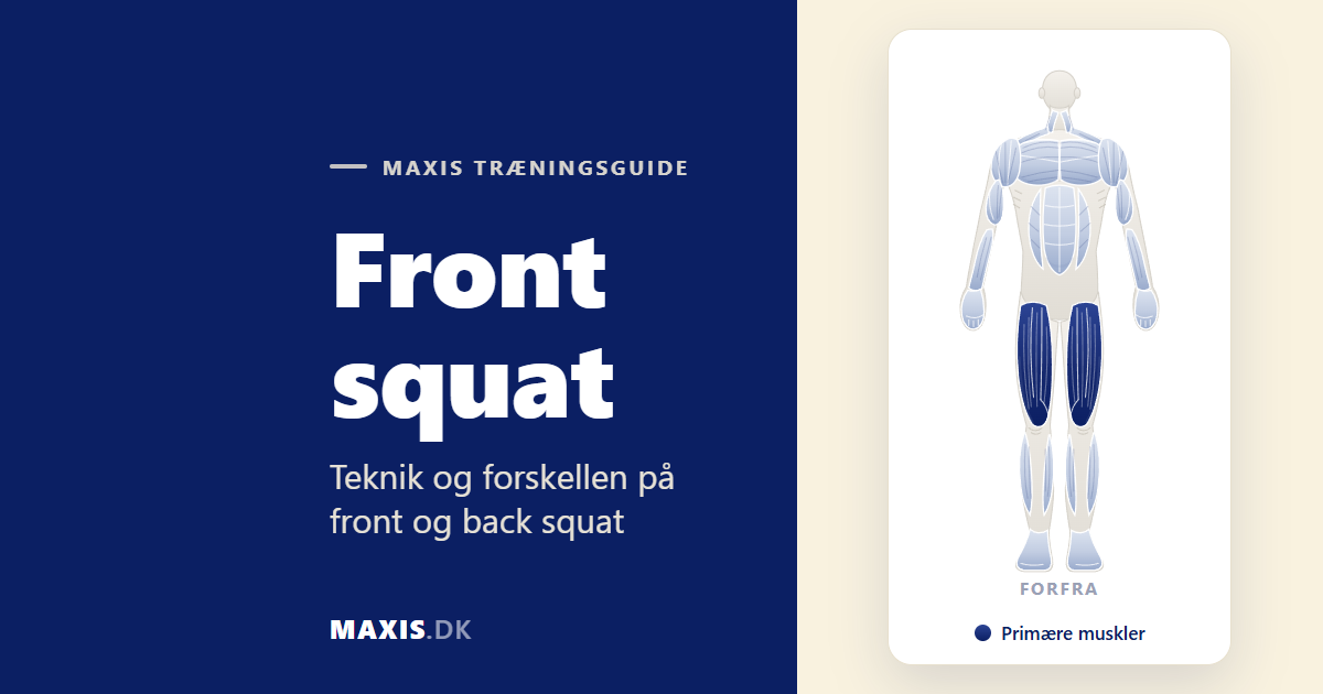 Front squat guide med muskeloversigt