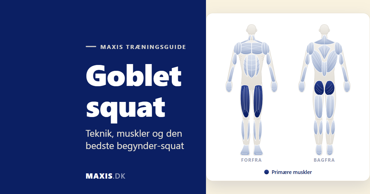Goblet squat guide med muskeloversigt