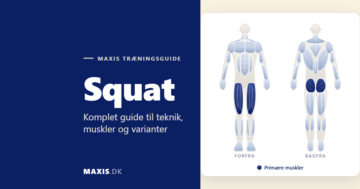 Squat guide med muskeloversigt