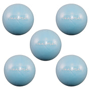 5 st. Pilatesboll Turkis, 25 cm - ANIMA