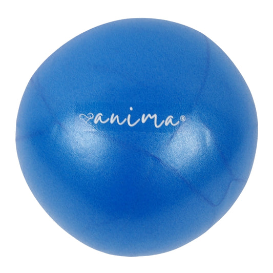 5 st. Pilatesbollar Blå, 25 cm - ANIMA