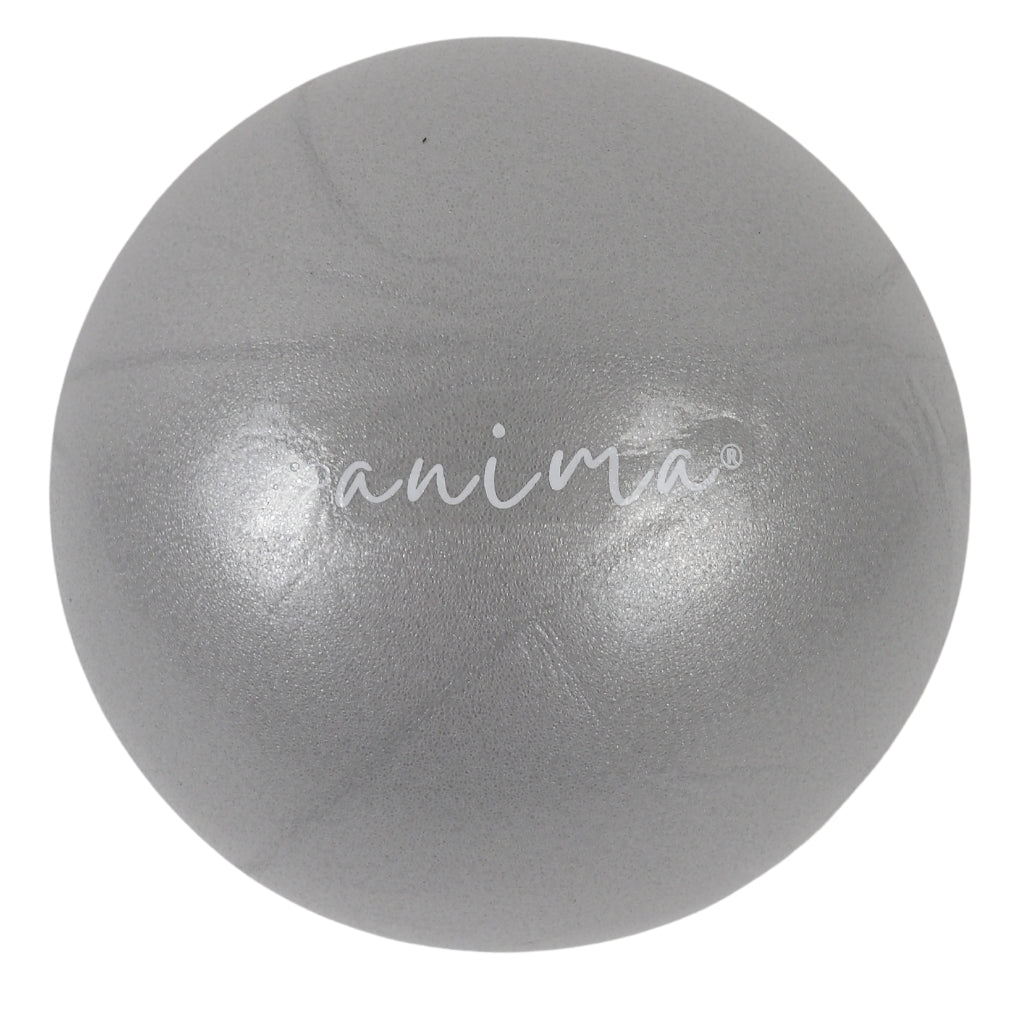5 st. Pilatesbollar Grå, 25 cm - ANIMA