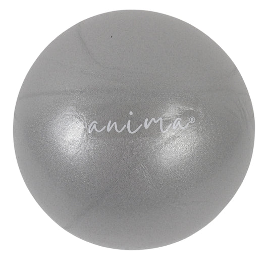 5 st. Pilatesbollar grå, 25 cm - ANIMA