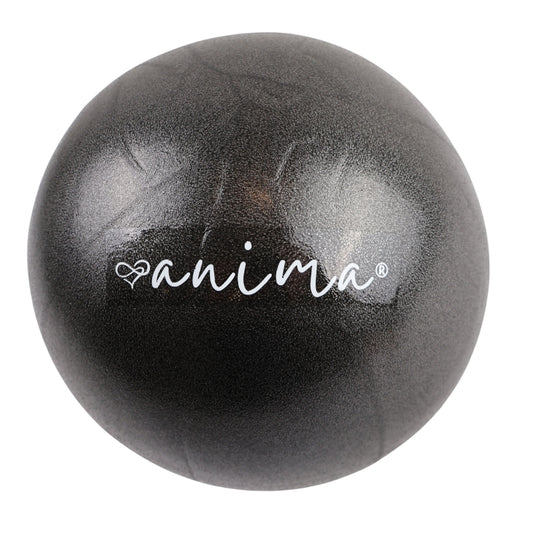 5 st. Pilatesbollar Blå, 25 cm - ANIMA